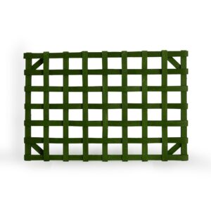 1896 Placemat - Bold Green