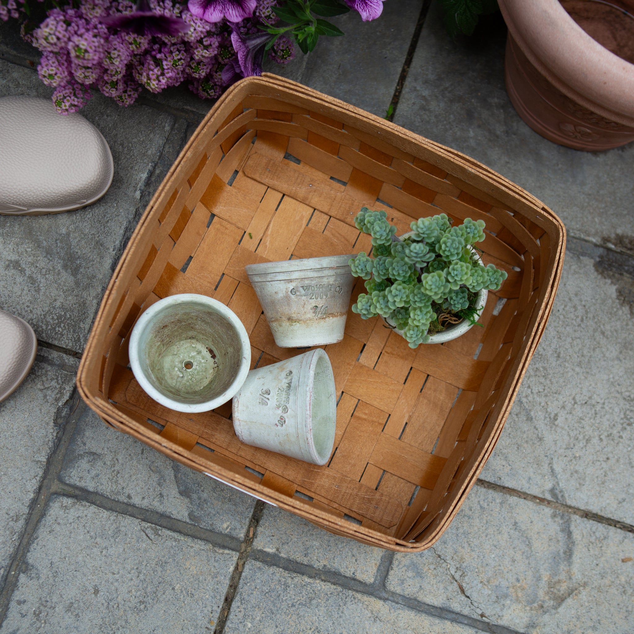 Collector's Essentials Medium Square Basket with Protector - 图片 6