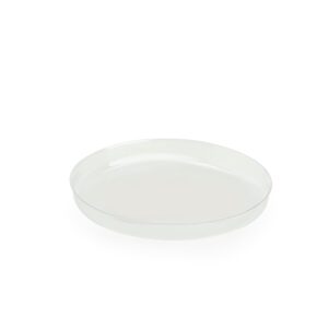 Gold Coin Protector - Fits: 6D x 1.5H