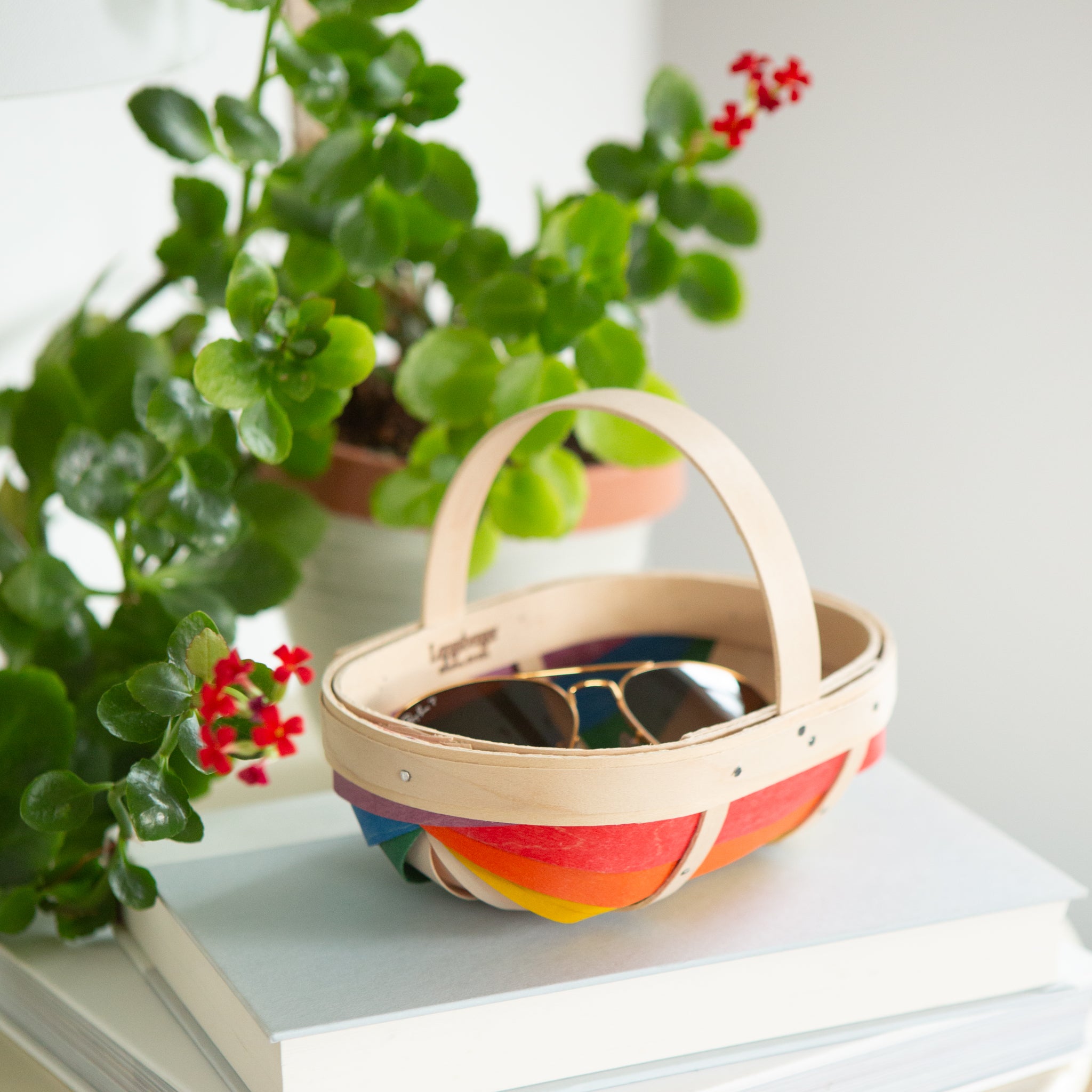 Rainbow Small Trug Basket with Protector - Multi - 图片 3