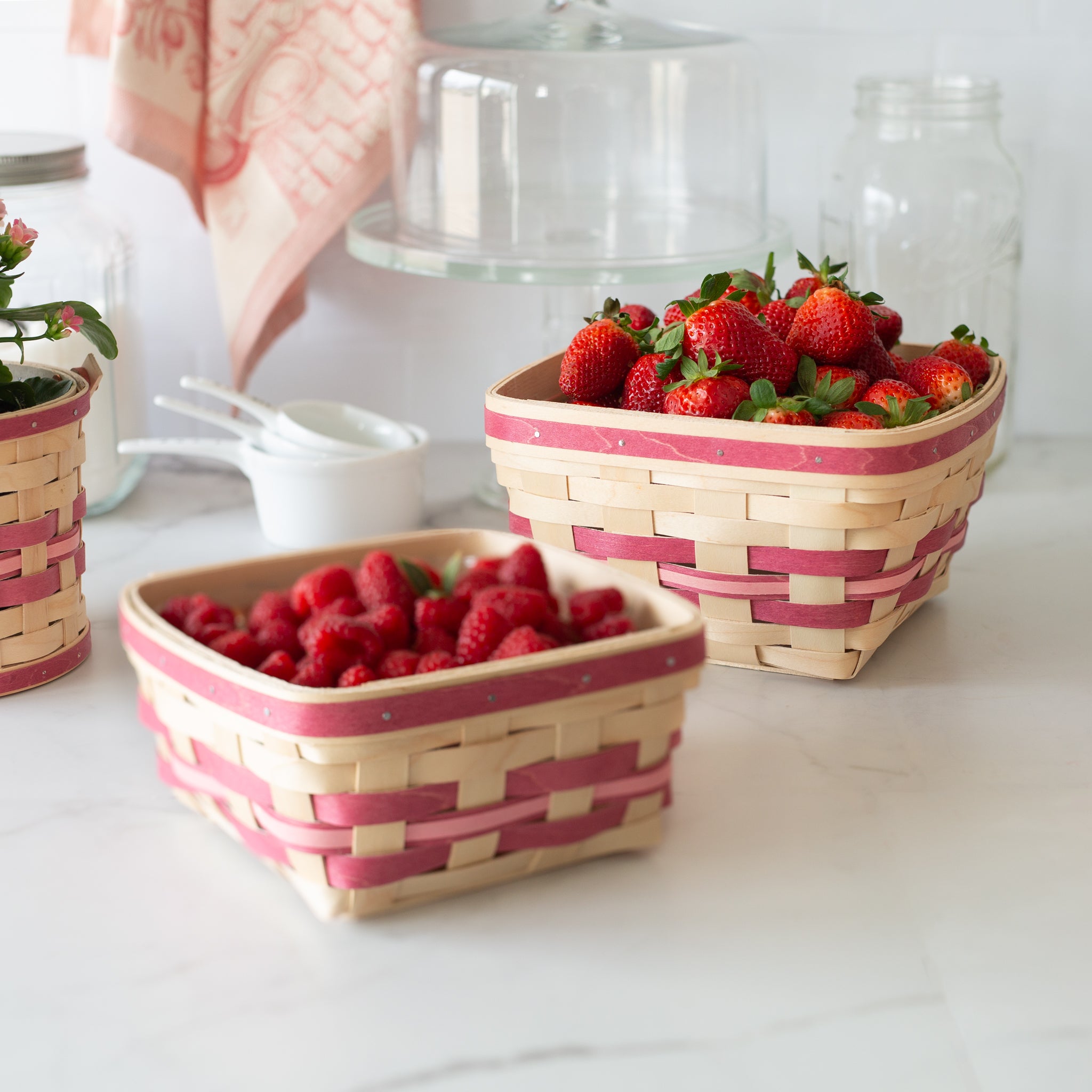 Spring Large Berry Basket with Protector - Raspberry - 图片 2