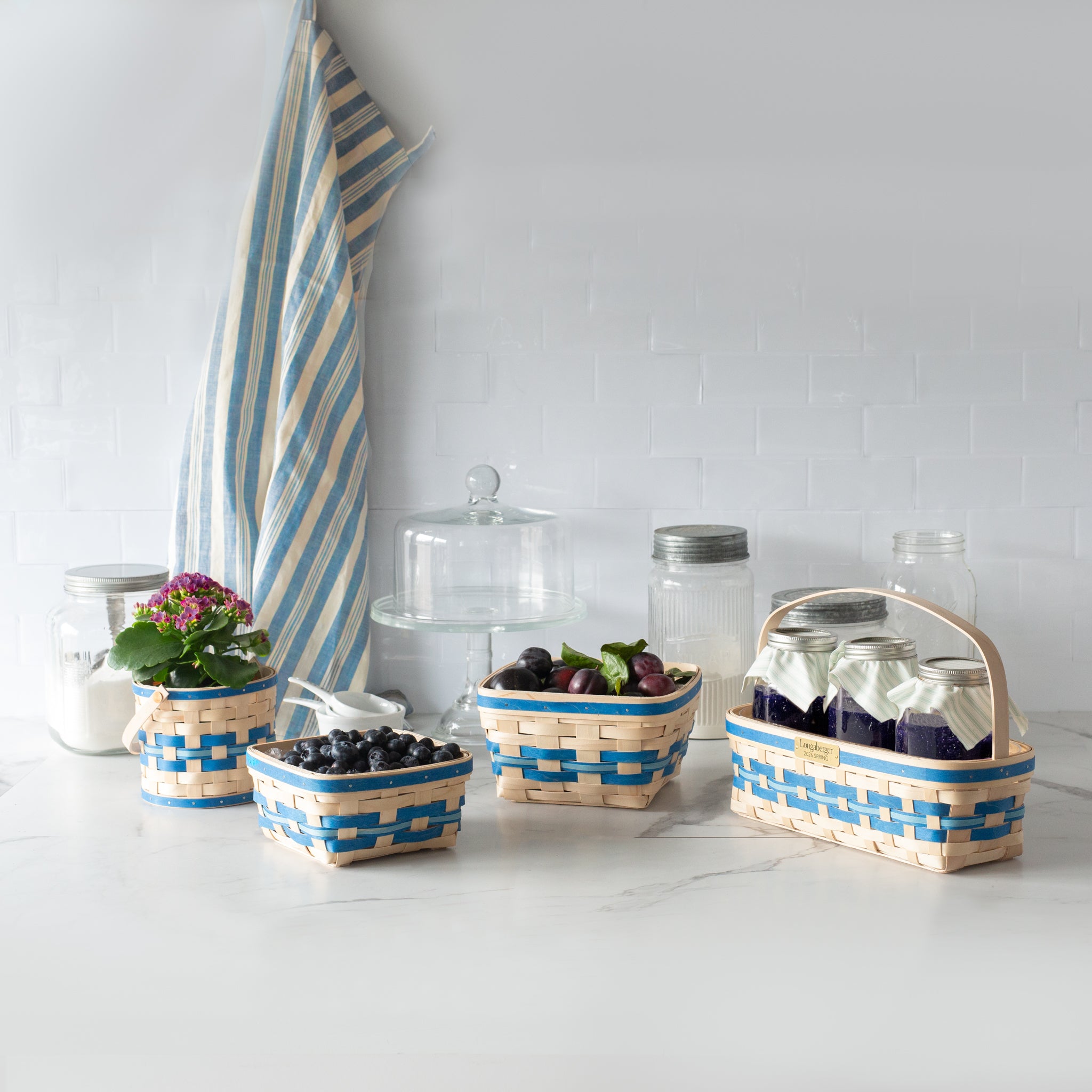 Spring Large Berry Basket with Protector - Blueberry - 图片 9